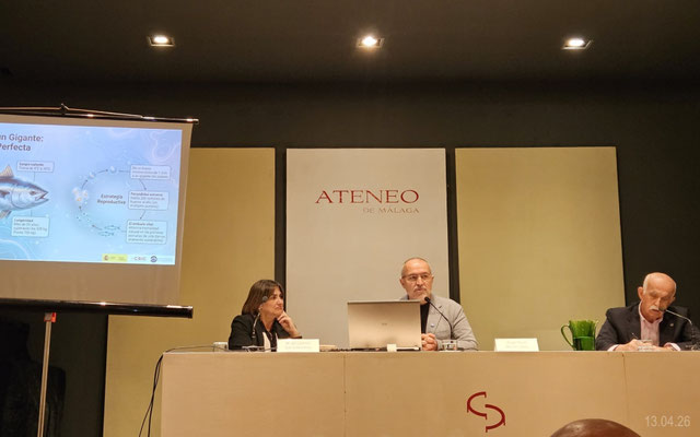 David Macías en su documentada intervención