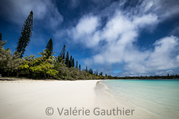 NOUVELLE CALEDONIE - île des Pins