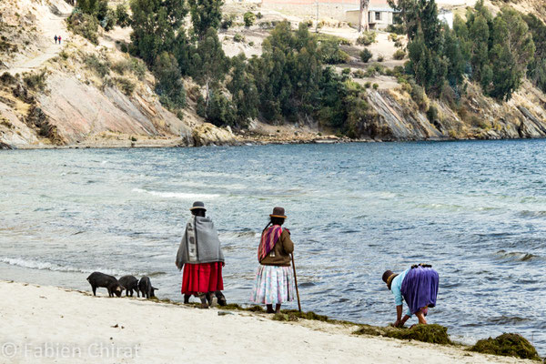 BOLIVIE - Isla del Sol