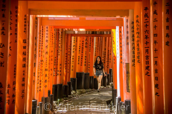 JAPON - allée de torii au sanctuaire de Fushimi Inari Taisha