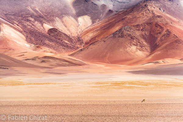 BOLIVIE - Sud Lipez