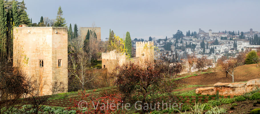 Jardins et palais de l'Alhambra à Grenade