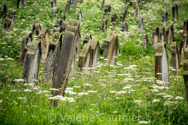 Cimetière de Whitby