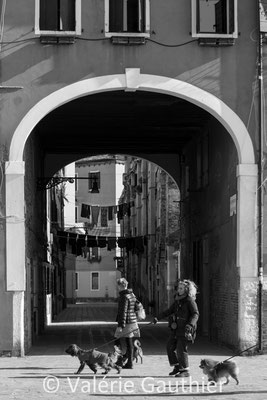 La promeneuse de chiens - Venise