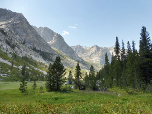 Grouse Meadows