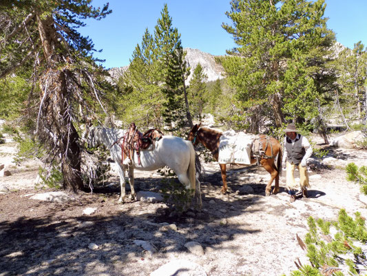 Ein Cowboy wie es im Buche steht