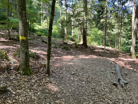 Platz 3 liegt etwas entfernt von Platz 2