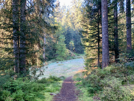 Der Weg zum Bach, der einzigen nahen Wasserquelle