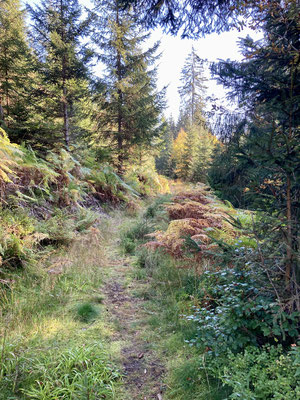 Der Weg vom Camp zurück zur Bundesstraße