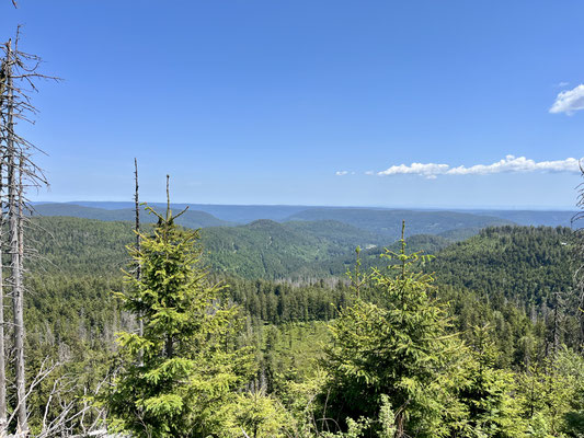 Blick von der Hornisgrinde
