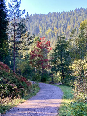 Herbststimmung