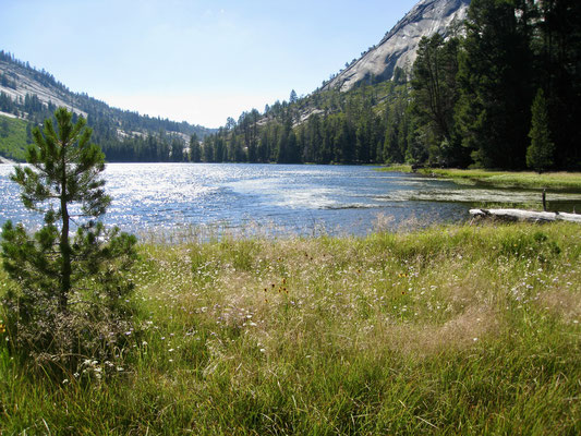 Merced Lake 