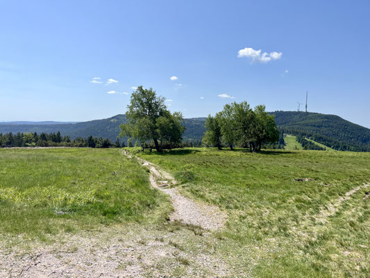 Blick Richtung Hornisgrinde, da müssen wir hin