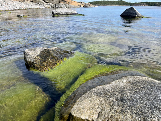 Hier kann man lange sitzen und einfach das Meer geniessen