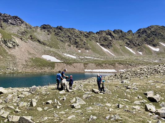 Am See angekommen erwarteten uns eine Herde Schafe