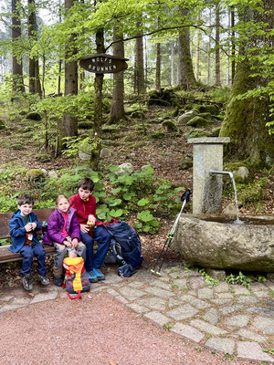 Am Wolfsbrunnen im Steigwald
