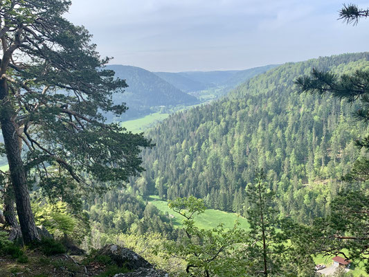 Der Blick vom Bildsteinfelsen bei Sonnenschein 