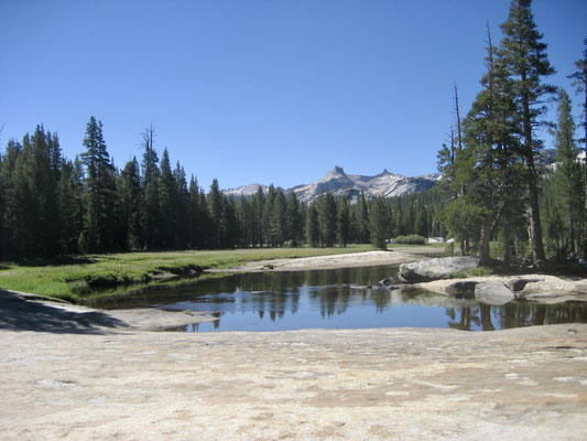 Blick Richtung Tuolumne Meadows