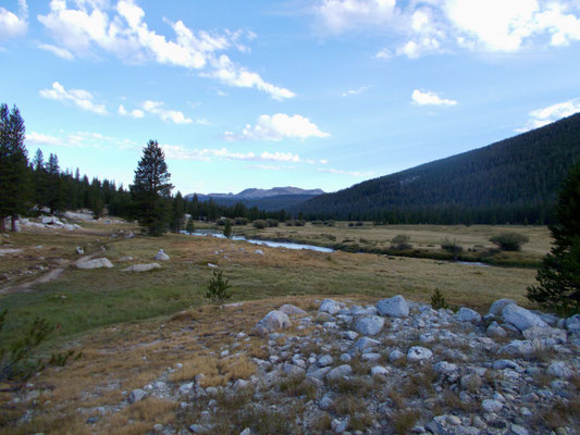 Früh morgens ging es los in Richtung Tuolumne Meadows