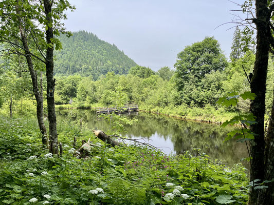 Der kleine See kurz vor dem Elzhof in Rohrhardsberg