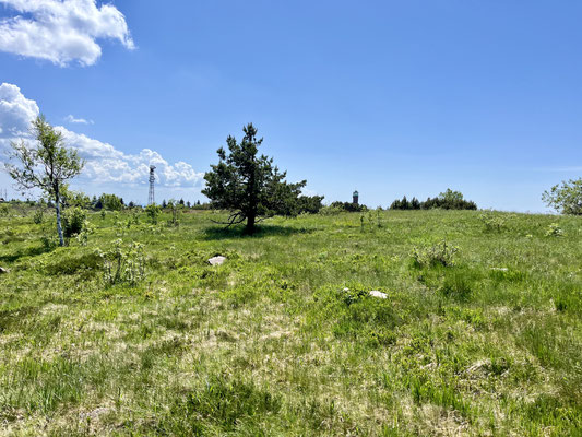 Blick über das Plateau