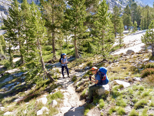 Abstieg ins McClure Meadow, die Beine fingen langsam an müde zu werden