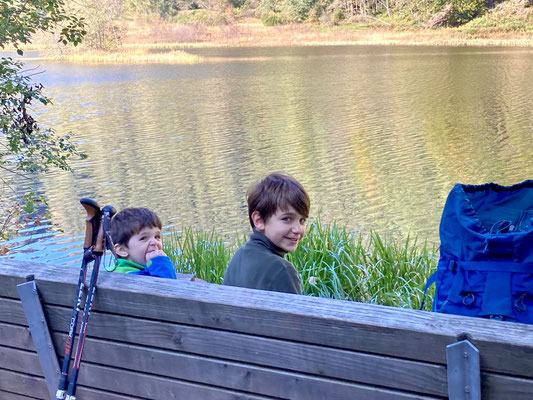 Mittagessen am Sankenbachsee