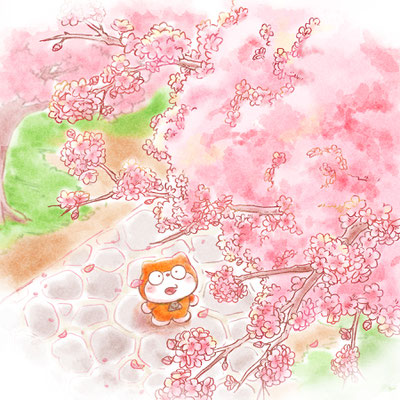「桜満開きんぽくん」水彩風の着色で桜満開な春を詰め込みました。