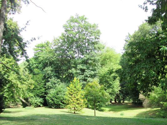 Les Jardins de Paris
