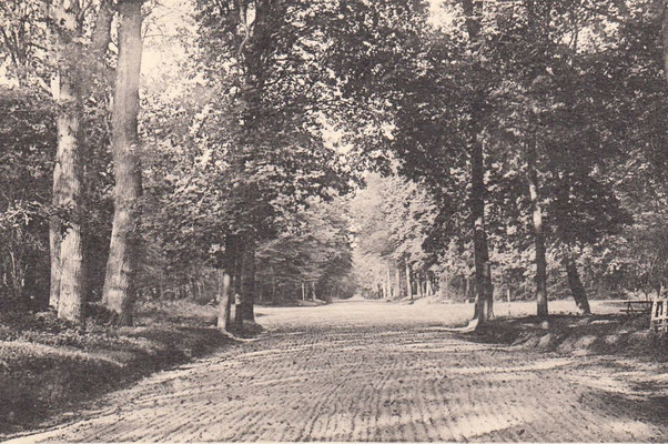 Piste d'entrainement dans les années 60 en forêt à Maisons-Laffitte