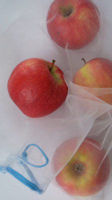 Apples