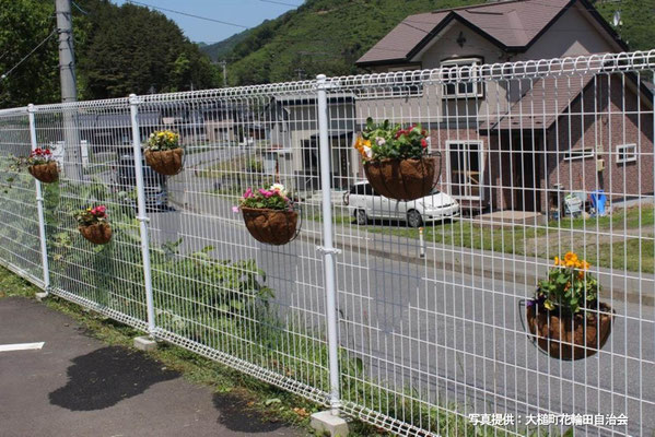 平成30年5月「集会所周辺の花植え」