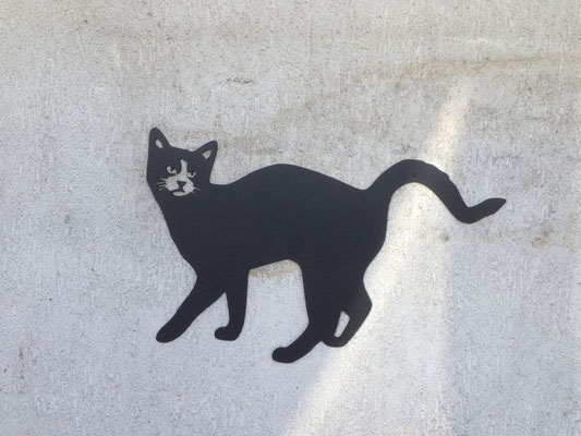 le chat noir