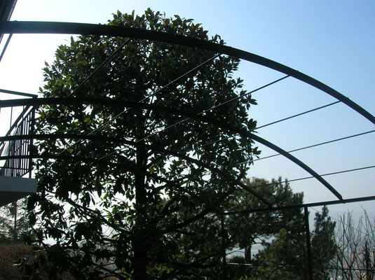 avec une treille, profitez d'un ombrage végétal