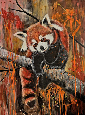 "Roter Panda" Acryl, Leinwand 60x80cm, 450 Franken