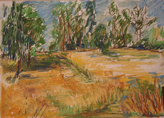 Sunny Day   Pastellkreide29,7x42cm