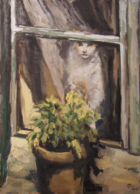 Katze am Fenster   Öl_Lwd. 50x70cm
