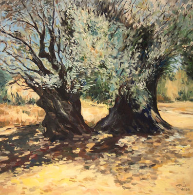 Old Olive Trees 90x90cm Öl/Lwd.