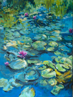 Water Lily Pond  Öl/Lwd.60x80cm