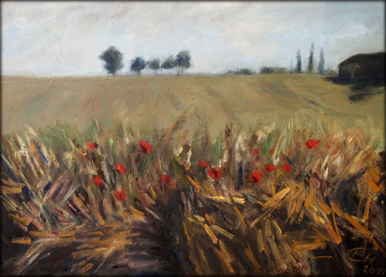 Fields of Summer, Öl-Lwd.50x70cm