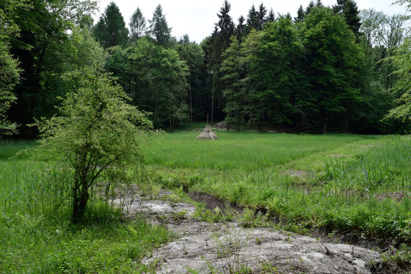 Natur