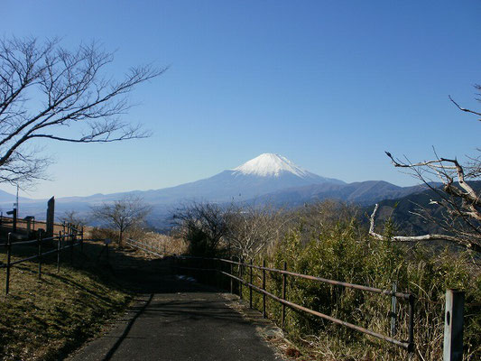 大野山の山頂から富士山を望む