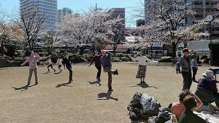 桜の下で先輩と踊る