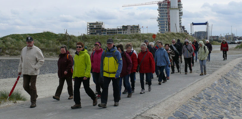 Wandelen op de dijk (met frisse tegenwind)