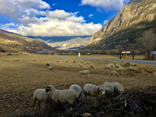 Hautes-Alpes - Sur la route du Buëch - Nov 2017- AnnedeCannes