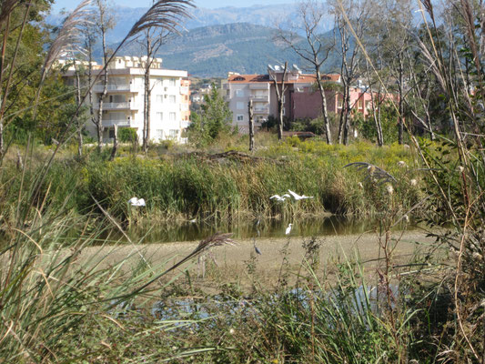 Flußlandschaft