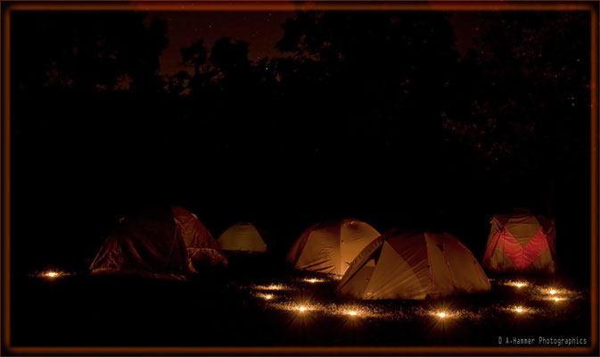 Night- Camp