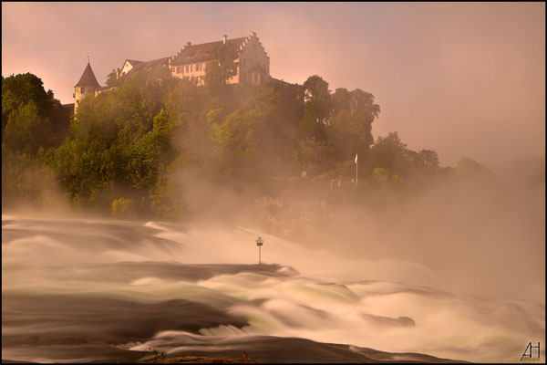 Schloss Laufen im Nebel