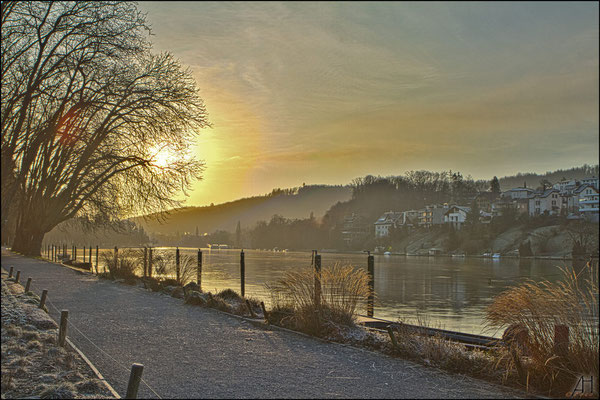 Cool Morning am Lindli / Rhein