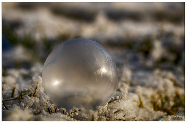 Frozen-soap-bubble